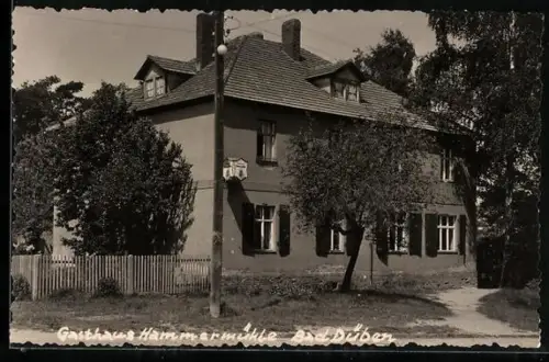 AK Bad Düben, Gasthaus Hammermühle mit Grünanlagen
