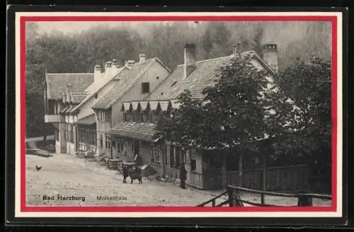 AK Bad Harzburg, Strassenpartie mit Molkenhaus