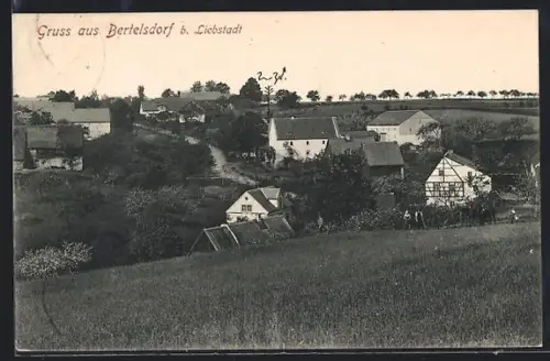 AK Bertelsdorf b. Liebstadt, Dorfansicht mit Fachwerkhäusern und Gehöften
