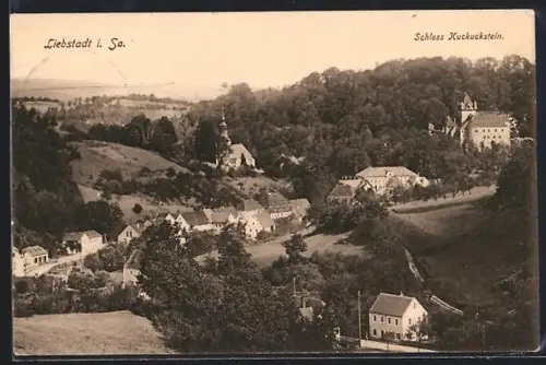 AK Liebstadt i. Sa., Schloss Kuckuckstein mit Ortsansicht