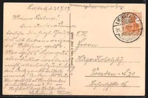 AK Liebstadt i. Sa., Schloss Kuckuckstein mit Ortsansicht