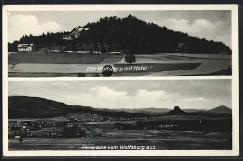 AK Krippen /Bad Schandau, Wolfsberg mit Hotel, Panorama vom Wolfsberg