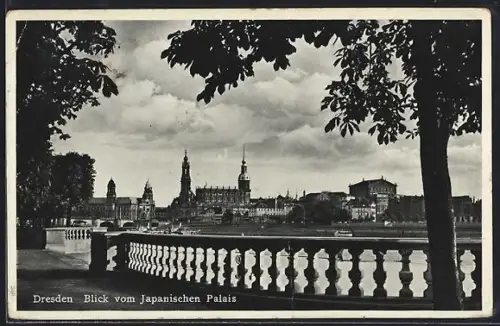 AK Dresden-Neustadt, Stadtpanorama vom Japanischen Palais aus