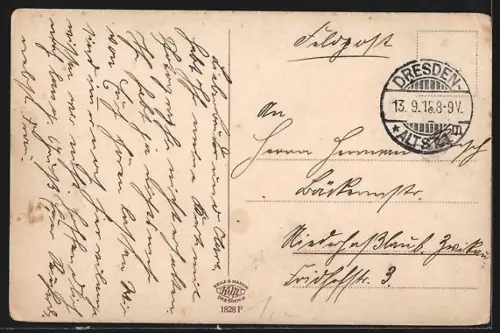 AK Dresden, Kgl. Grosser Garten, Blumenbeete