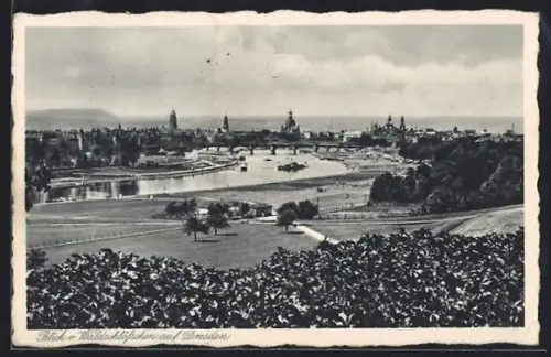AK Dresden-Neustadt, Blick vom Waldschlösschen auf Altstadt und Elbe