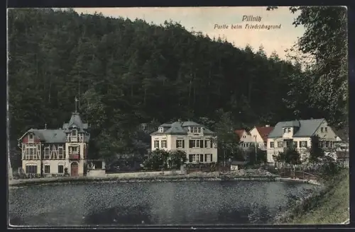 AK Dresden-Pillnitz, Partie beim Friedrichsgrund, Teich und Villen