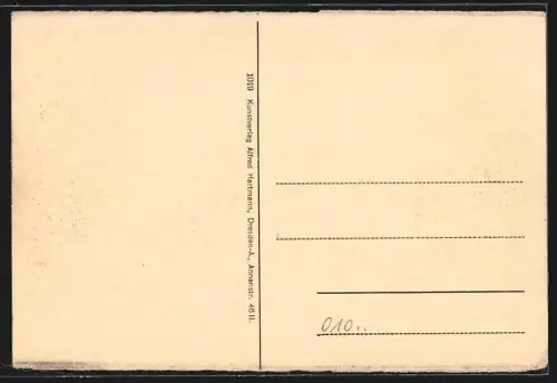 AK Dresden, Zwingerteich mit Gebäuden aus der Vogelschau