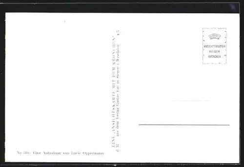 AK Siegen, Blick zum Unteren Schloss