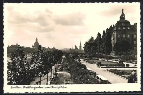 AK Dresden-Neustadt, Staudengarten am Königsufer