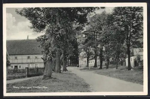 AK Neu-Graupa, Blick in die Lindenallee