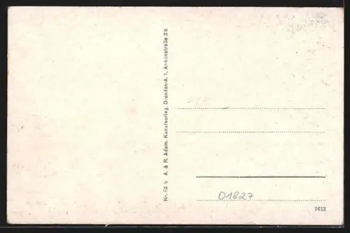 AK Neu-Graupa, Blick in die Lindenallee