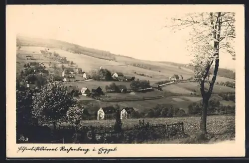 AK Rechenberg i. Erzgeb., Ortsansicht mit Feldern