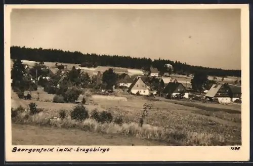AK Georgenfeld im Ost-Erzgebirge, Ortsansicht mit Wald