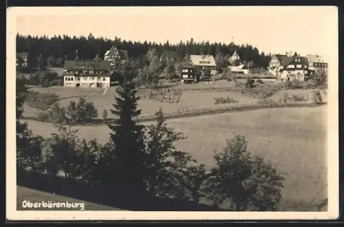 AK Oberbärenburg, Ortsansicht mit Wohnhäusern und Wald