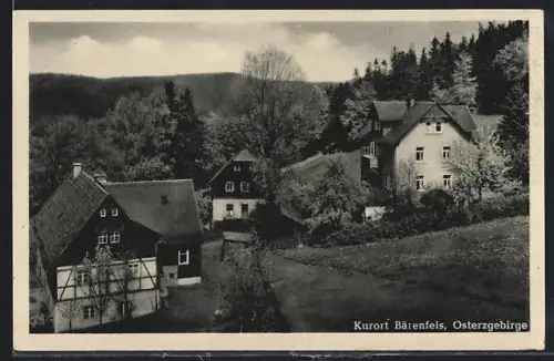 AK Bärenfels /Osterzgebirge, Blick in den Ort