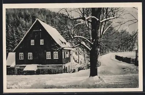 AK Penig /Muldental, Waldgasthaus Höllmühle, Inh. Paul Henschel