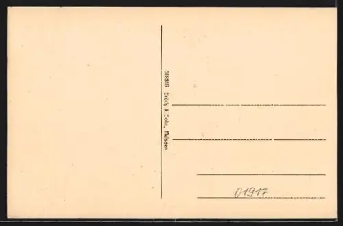 AK Kamenz i. Sa., Hutberg, Blick vom Kirchturm, Pulsnitzer Strasse
