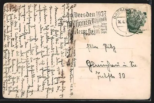 AK Dresden, Zwinger-Pavillon