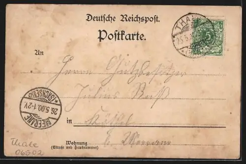 Lithographie Thale, Teufelsbrücke mit Rosstrappe, Hirschgrund, Hotel zur Rosstrappe mit Winzengrund