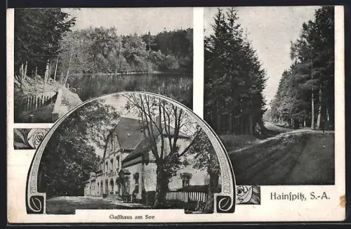 AK Hainspitz /Th., Gasthaus am See, Seepartie, Waldweg