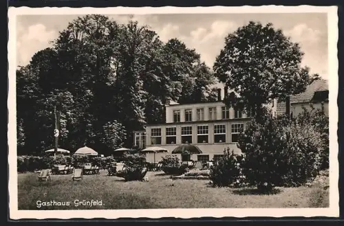 AK Waldenburg /Sa, Gasthaus Grünfeld mit umgebender Natur