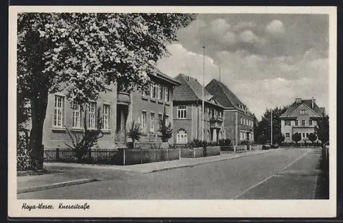 AK Hoya /Weser, Knesestrasse mit Bäumen