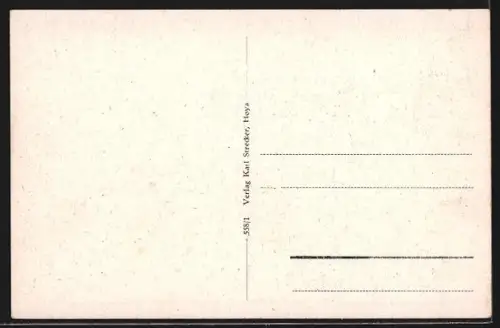 AK Hoya /Weser, Knesestrasse mit Bäumen