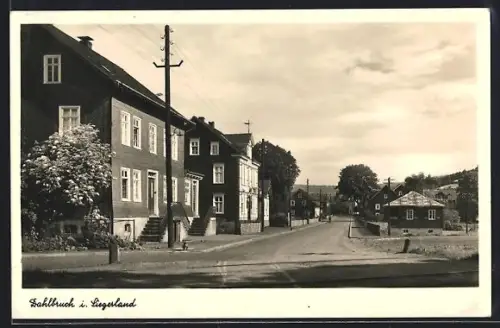 AK Dahlbruch i. Siegerland, Strassenpartie mit Grünanlagen