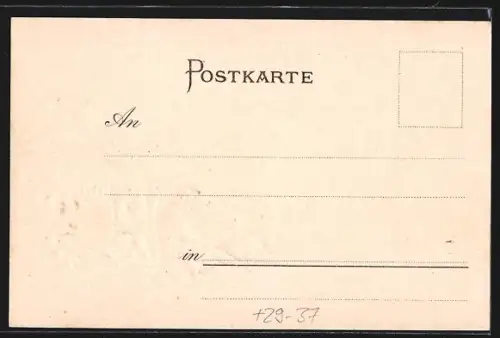 Passepartout-Lithographie Freiburg i. B., Teilansicht mit Münster, Wappen