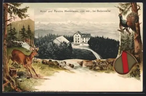 Passepartout-Lithographie Badenweiler, Hotel und Pension Hochblauen, Wappen