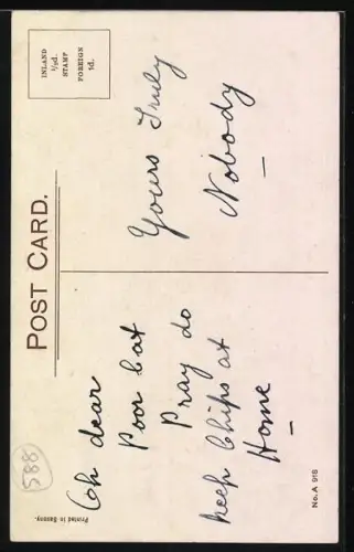 Künstler-AK Donald McGill: Zerkratzter Kater nach einem Gefecht