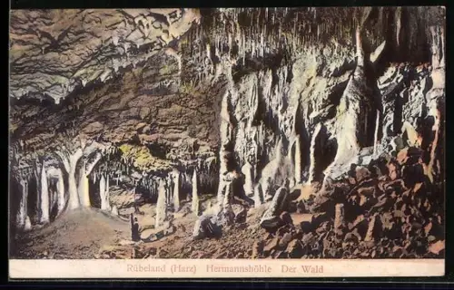 AK Rübeland /Harz, Hermannshöhle, Der Wald