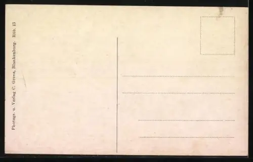 AK Rübeland /Harz, Hermannshöhle, Der Wald