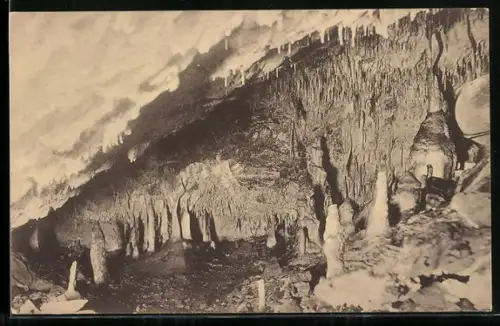 AK Hermannshöhle b. Rübeland, Der Wald