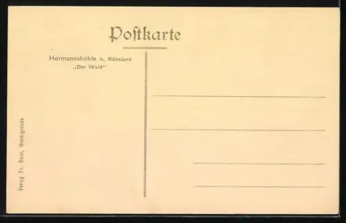AK Hermannshöhle b. Rübeland, Der Wald