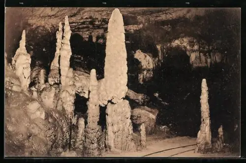 AK Postojnska jama, Adelsberger Grotte, Vrsta stebrov, Säulenallee, Tropfsteingebilde