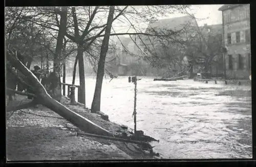 AK Nürnberg, Hochwasser-Katastrophe 1909, Insel Schütt