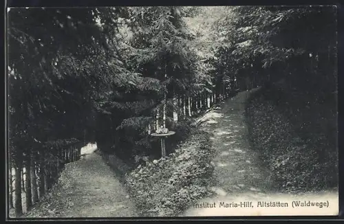 AK Altstätten, Institut Maria-Hilf, Waldwege
