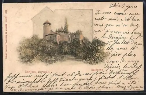 Künstler-AK Birseck /Baselland, Schloss Birseck
