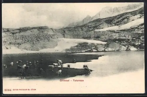 AK Grimsel, Totensee mit Kühen