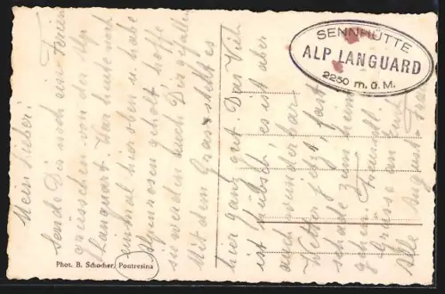 AK Pontresina, Alp Languard mit Piz Palü und Bellavista