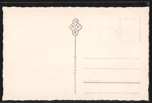 AK Lugano, Panorama col Monte S. Salvatore