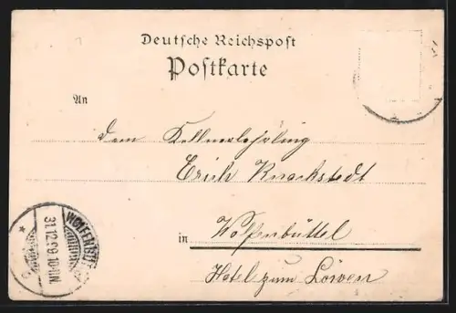 Lithographie Braunschweig, Totalansicht, Lessing-Denkmal u. Löwensäule a. d. Burgplatz