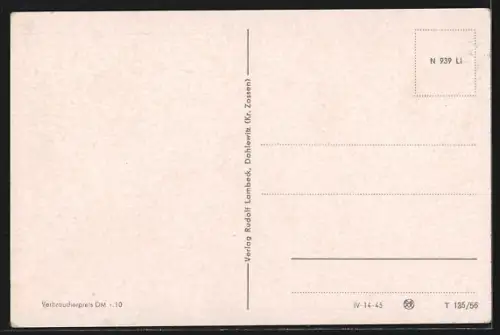 AK Feldberg /Mecklbg., Partie in der Fürstenbergerstrasse