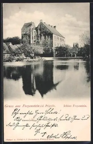 AK Freyenstein i/d. Prignitz, Schloss Freyenstein mit Wasserpartie