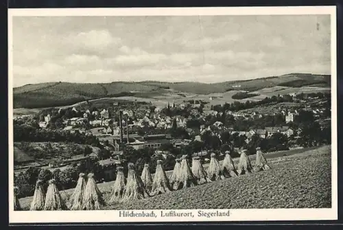 AK Hilchenbach /Siegerland, Ortsansicht vom Getreidefeld aus