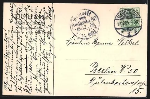 AK Magdeburg, Partie im Königin Luise Garten