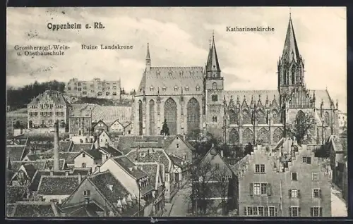AK Oppenheim a. Rh., Katharinenkirche, Grossherzogl. Wein- u. Obstbauschule, Ruine Landskrone