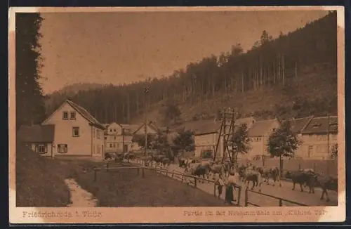 AK Friedrichroda i. Thür., Partie an der Hessenmühle am Kühlen Tal