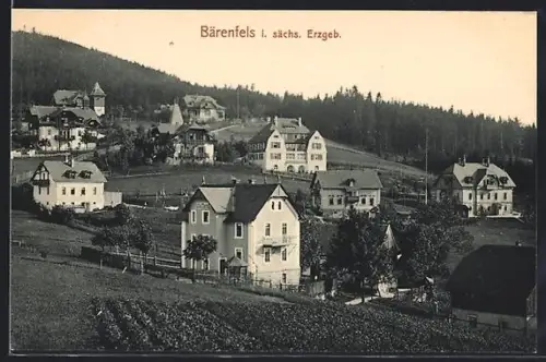 AK Bärenfels i. sächs. Erzgeb., Ortsansicht